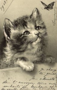 PC CATS, A CAT WATCHING A BUTTERFLY, Vintage EMBOSSED Postcard (b47075)