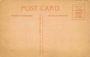 Riverside Avenue Streetcars Spokane Washington 1910c postcard