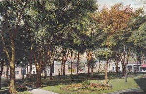 Vermont Burlington City Hall Park 1908