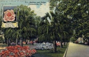 Azaleas and Palms - Thomasville, Georgia GA