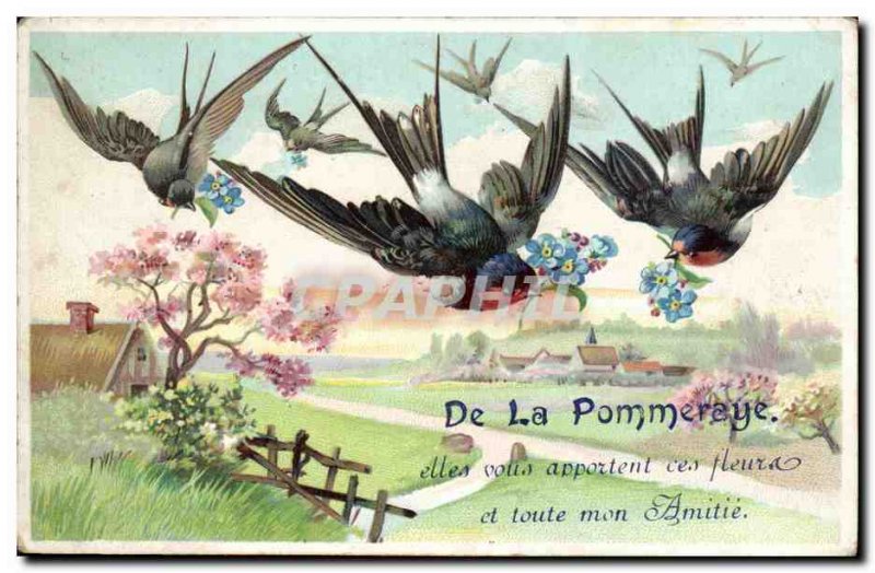 Fancy Old Postcard From La Pommeraye they bring you these flowers and all my ...