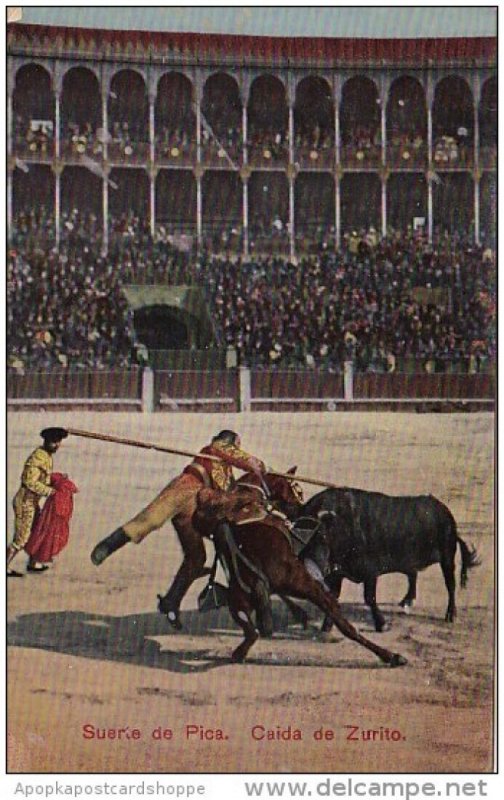 Corrida Bull Fight Suerte de Pica Caida de Zurito