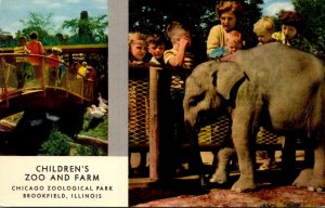 Illinois Brookfield Chicago Zoological Park Children's Zoo and Farm Baby...