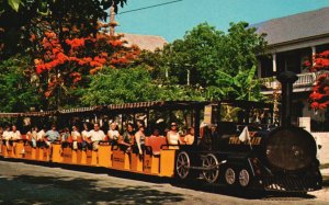 Vintage Postcard Conch Tour Train Along A Poinciana Lined Street Quaint Old Key