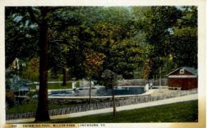 Miller Park Swimming Pool - Lynchburg, Virginia