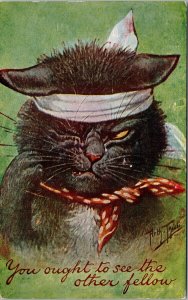 Black Cat 'You Ought To See The Other Fellow' 1910 Arthur Thiele Postcard E68