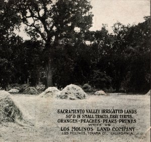 1908 Los Molinas Land Company Tehama County Sacramento Valley Irrigated Lands CA