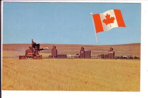 Harvest Time, Grain, Canada Flag, CPR Photo