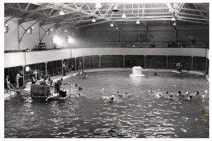 RPPC Postcard REPRINT Long Beach CA California Plunge 1949