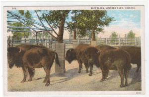 Buffalo Lincoln Park Zoo Chicago Illinois 1920c postcard