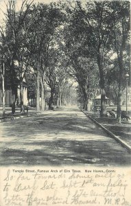 Postcard 1906 Connecticut New Haven Temple Street Elm Trees undivided CT24-2469