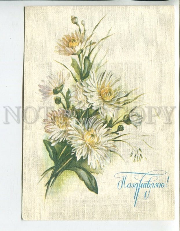 458615 USSR 1986 year Makarov congratulations flowers postal card