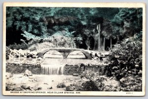 Siloam Springs Arkansas~Bridge @ Dripping Springs~B&W~American Art~Vtg Postcard