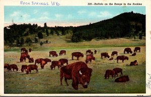 Buffalo On The Range In The Rockies Rock Springs 1945