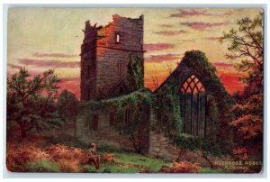 c1910 Muckross Abbey Killarney Ireland Antique Oilette Tuck Art Postcard 