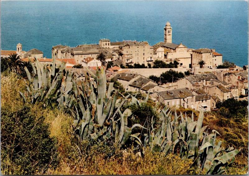 Bastia Corsica Corse France 1970 Vintage Postcard D46