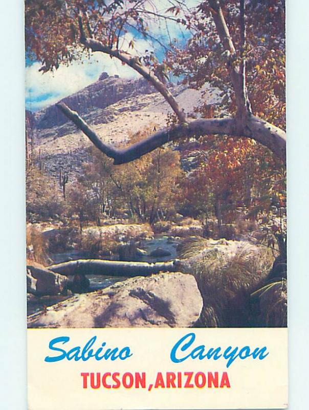 Pre-1980 NATURE SCENE Pomerene - Near Tucson Arizona AZ AD5518