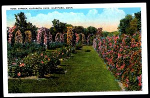 Connecticut HARTFORD Rose Garden, Elizabeth Park ~ WB