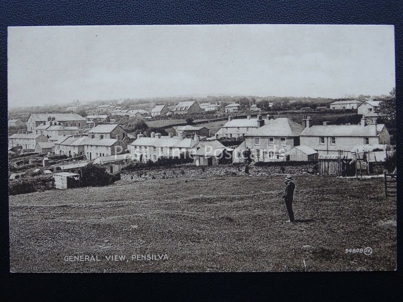 Cornwall PENSILVA VILLAGE General View c1926 Postcard by Valentine 94808