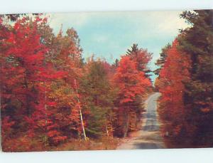 Pre-1980 GREETINGS FROM POSTCARD Sharon Springs New York NY ho5841