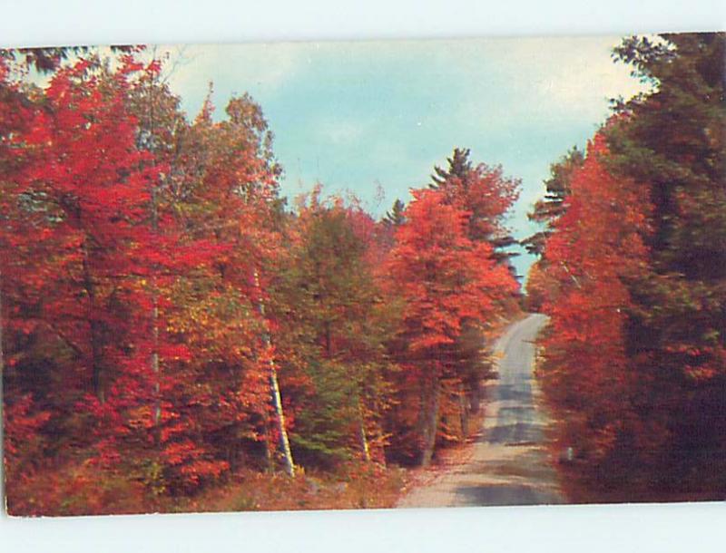 Pre-1980 GREETINGS FROM POSTCARD Sharon Springs New York NY ho5841