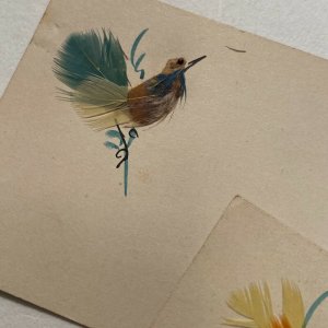 Dyed feather bird calling cards Victorian unused lot of 3 colors