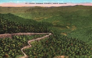 Vintage Postcard Craggy Gardens Highway & Mountains Forest North Carolina NC