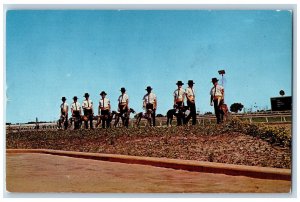 Ciudad Juarez Mexico Postcard Group of Beautiful Greyhounds Racing 1968