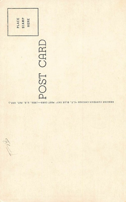 LPD04 Ohio Postcard: Holgate Grain Supply Association