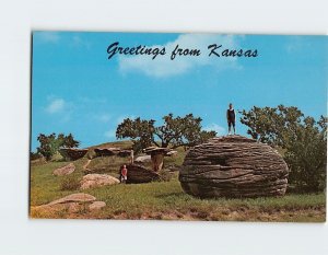 Postcard Mushroom Park Greetings from Kansas USA