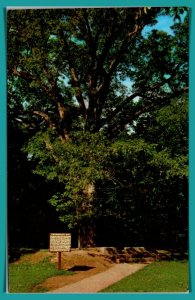 Kentucky, Hodgenville - The Boundary Oak - Lincoln Historical Park - [KY-073]