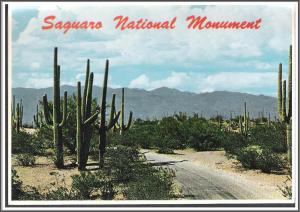 Arizona Saguaro National Monument - [AZ-064X]