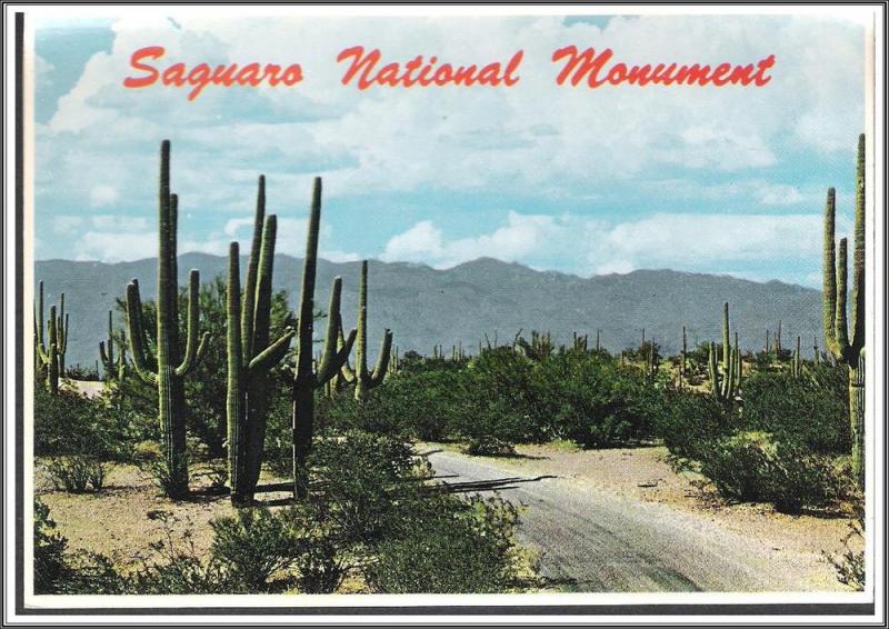 Arizona Saguaro National Monument - [AZ-064X]