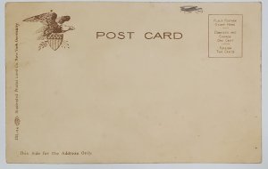 Des Moines Iowa State Capitol Glitter Micah Decorated Postcard D30