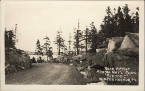 Winter Harbor Maine ME Acadia Nat'l Park Road 1940s RPPC Real Photo Postcard