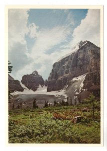 The Plain of Six Glaciers, Banff National Park, Alberta