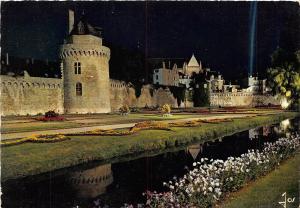 BR22612 Vannes les jardins illumines france