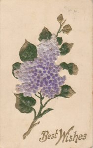 Velvet lilac material flower Best Wishes vintage greetings fantasu postcard 1908