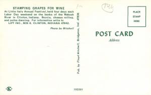 Little Italy Clinton Indiana IN Annual Festival Grape Stamping Postcard