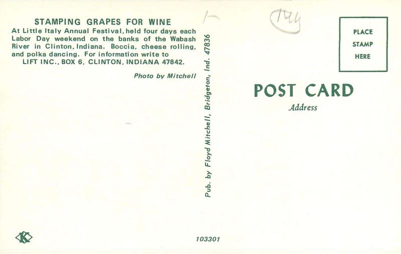 Little Italy Clinton Indiana IN Annual Festival Grape Stamping Postcard