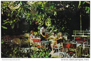 Cool Tropical Patio Restaurant Barbados