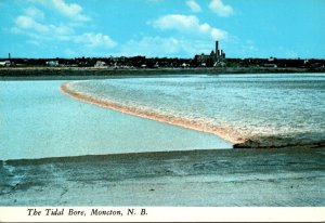 Canada New Brusnswick The Tidal Bore