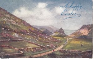 LYNTON, Devon, England, PU-1906; Valley Of Rocks; TUCK 7016