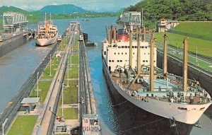 M S Mississipi Printed Photo Misc Ship Line Ship 