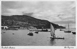 Funchal Madeira Portugal Ships in Harbor Scenic View Real Photo PC JE229787