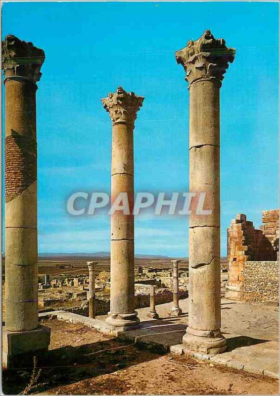 Modern Postcard Volubilis