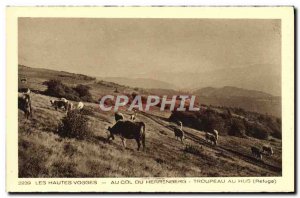 Old Postcard The Vosges the flight to Herrenberg Herd Cows Hus