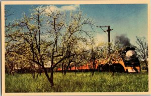 Southern Pacific Daylight Passing Apple Orchards Aromas CA Vintage Postcard D10