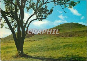 Modern Postcard Gamla Uppsala die K�nigsh�gel