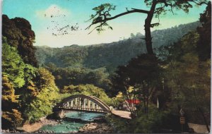 Japan Asahi Bridge at Yumoto Hakone Vintage Postcard C203